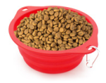 folding dog bowl