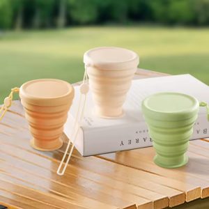 reusable Folding Water Bottle